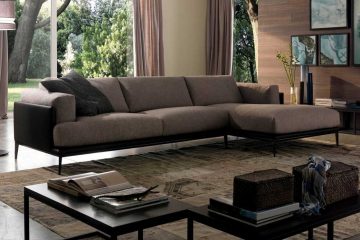 Nhà nuôi thú cưng có nên mua ghế Sofa cao cấp không?