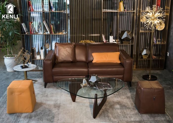 Mẫu Sofa đôi phong cách Rustic phòng khách nhỏ